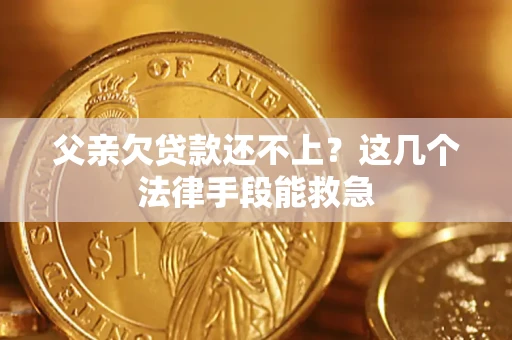 武汉父亲欠贷款还不上?这几个法律手段能救急 武汉父亲欠贷款还不上?这几个法律手段能救急